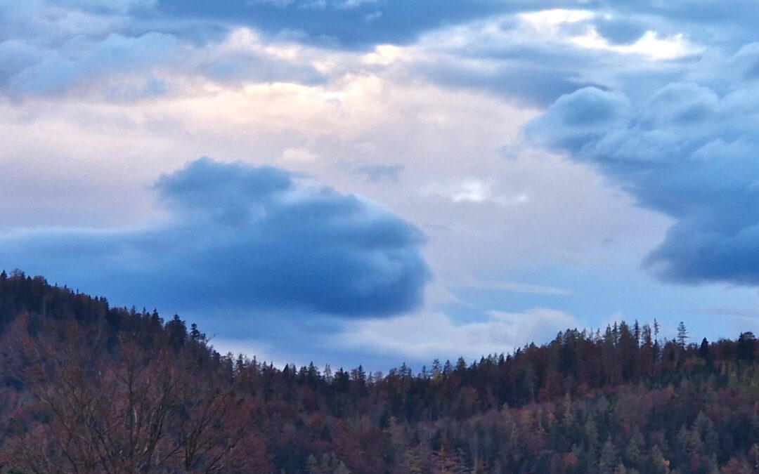 Der Herbst in der TCM