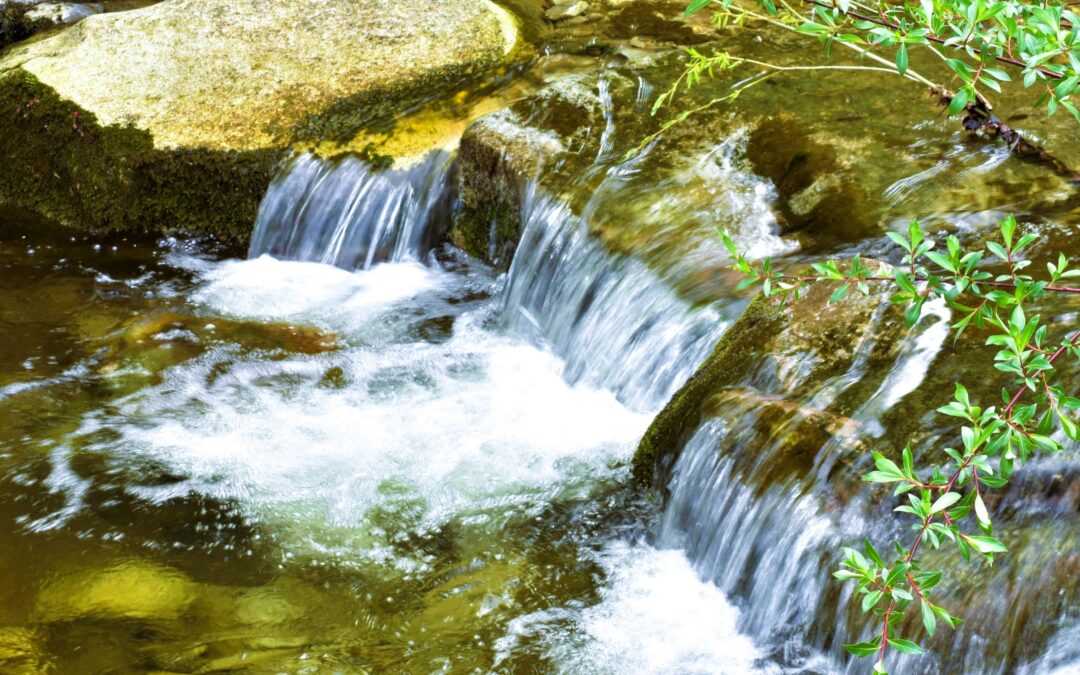 Lymphfluss und Energie